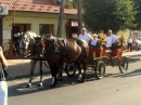 Zdjęcie 7 - Bryczką do ślubu - Janków Zaleśny i okolice